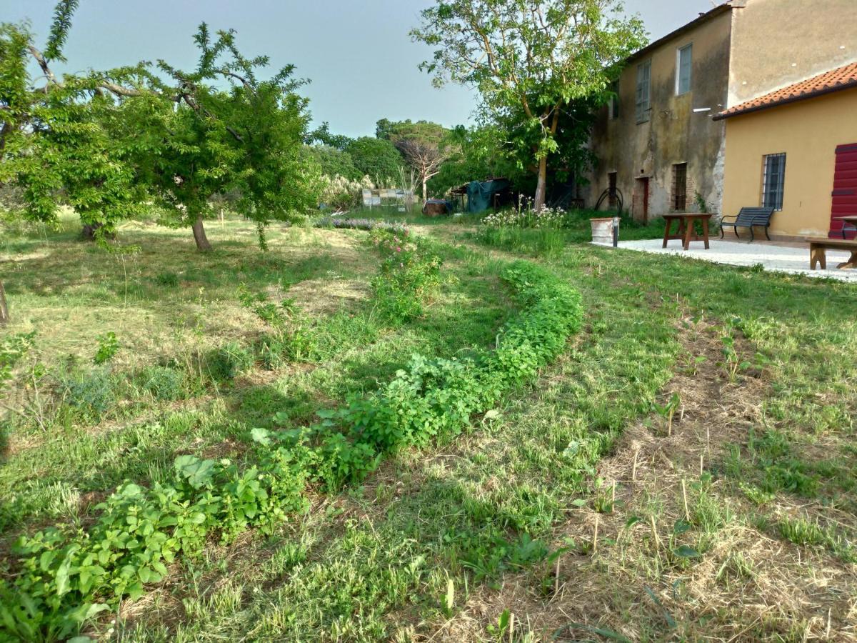 Casa Daria, Armonia Del Passato Nel Rispetto Della Natura دونوراتيكو المظهر الخارجي الصورة