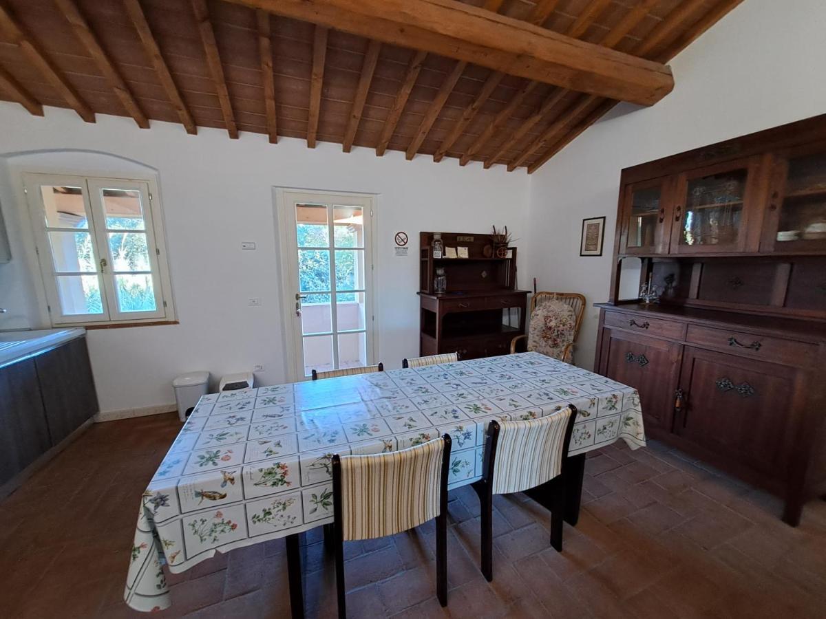 Casa Daria, Armonia Del Passato Nel Rispetto Della Natura دونوراتيكو المظهر الخارجي الصورة